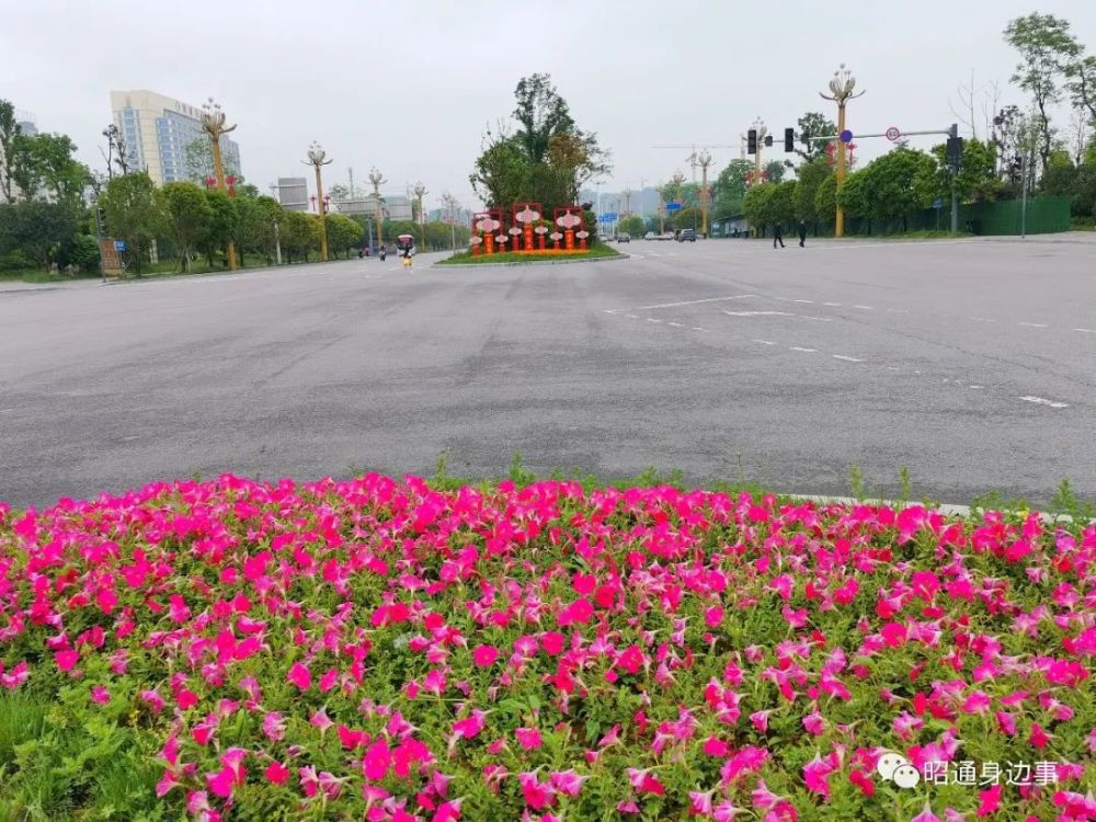 鎮(zhèn)雄南部新區(qū)最新動態(tài)，鄰里間的溫情故事展現(xiàn)溫情鄰里關(guān)系