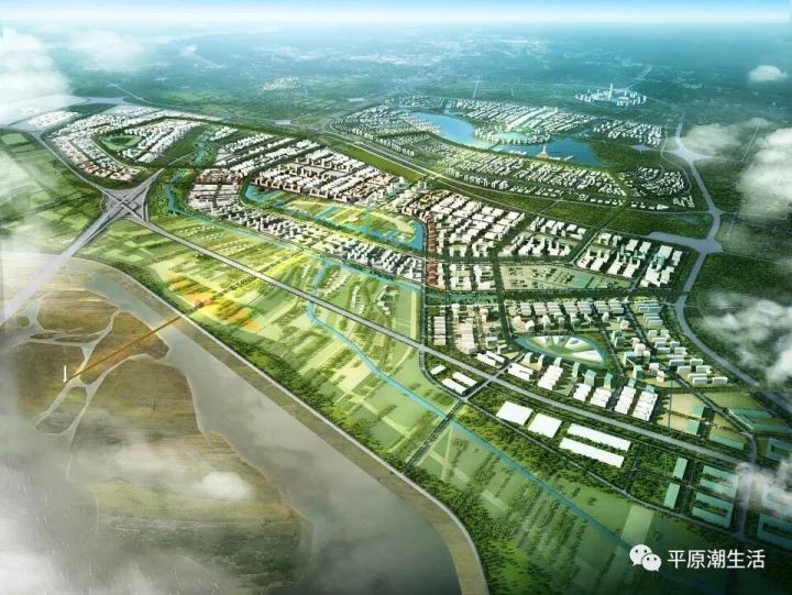 平原新區(qū)新脈動，城市發(fā)展與溫馨日常的最新消息
