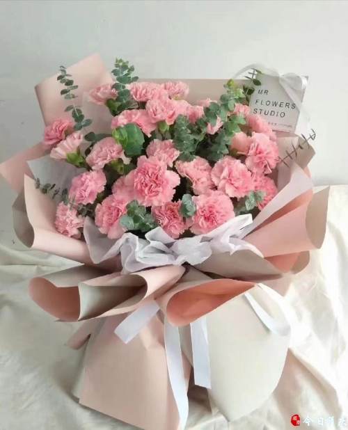 康乃馨價(jià)格走勢(shì)揭秘，市場(chǎng)趨勢(shì)、影響因素與選購指南