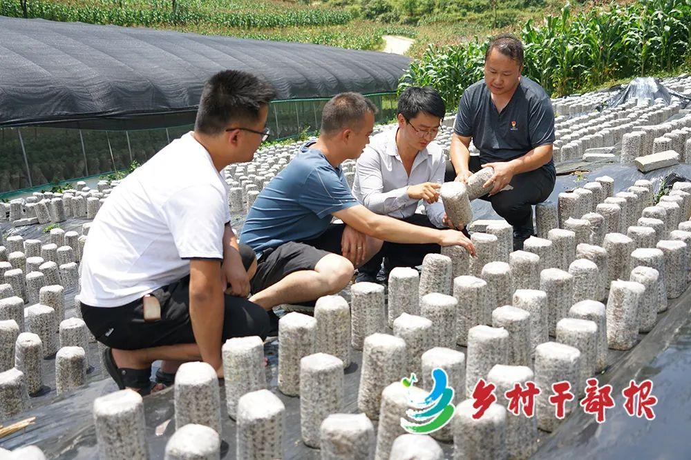 織金黨建論壇最新資訊,織金黨建論壇最新資訊，探討黨建新動(dòng)向與觀點(diǎn)