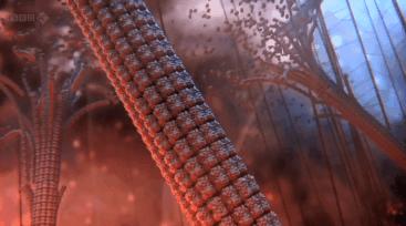 全國病毒感染最新動態(tài)，自然美景呼喚你我共賞