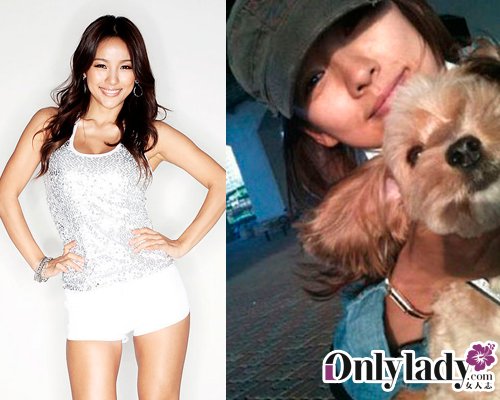 近期逝去的明星，璀璨之星的黯淡落幕