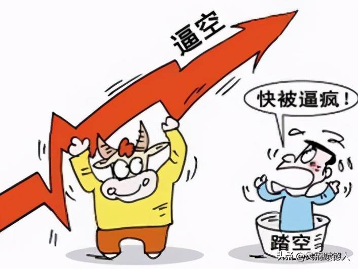 德指數(shù)行情深度解析及市場(chǎng)走勢(shì)預(yù)測(cè)