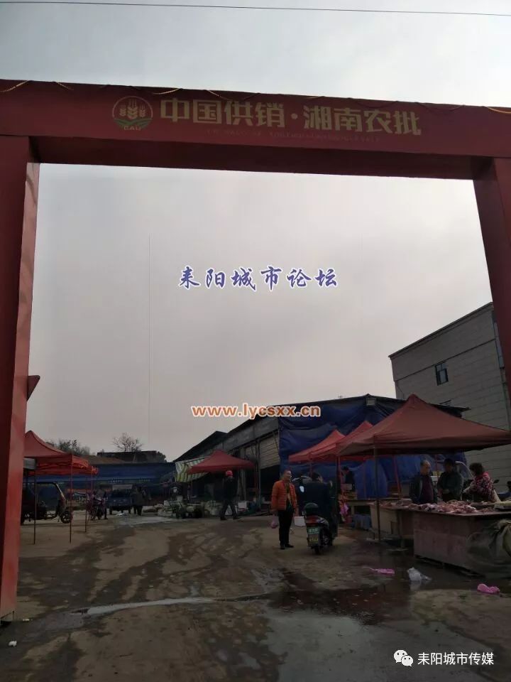 湘南大市場最新動(dòng)態(tài)，一場溫馨的市場奇遇探索