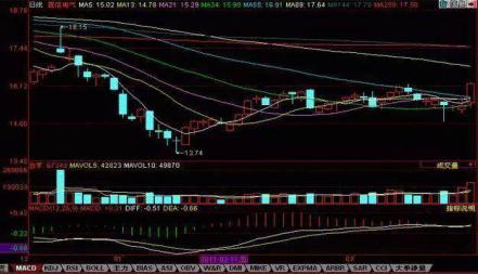 邁向財務自由，股票買入指南與勵志攻略