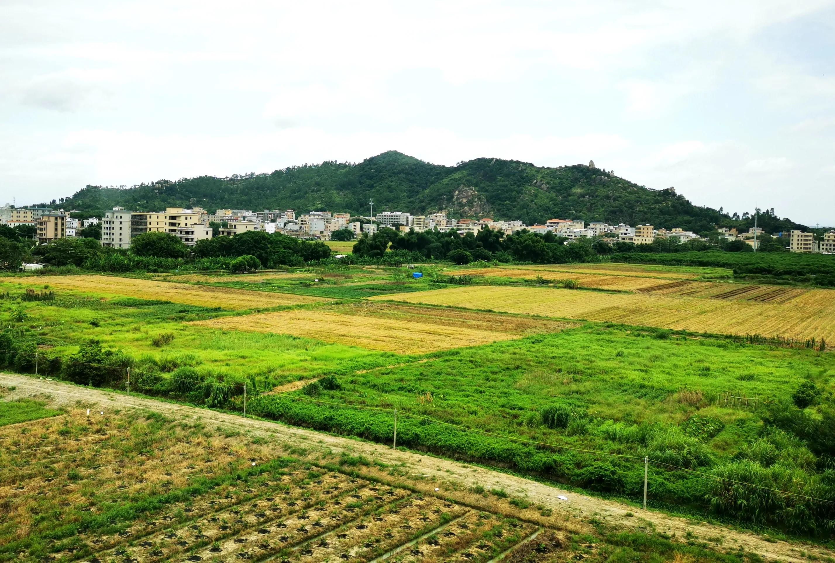 廈門至深圳高鐵提速最新動(dòng)態(tài),廈門至深圳高鐵提速最新動(dòng)態(tài)，速度與情感的雙重旅程