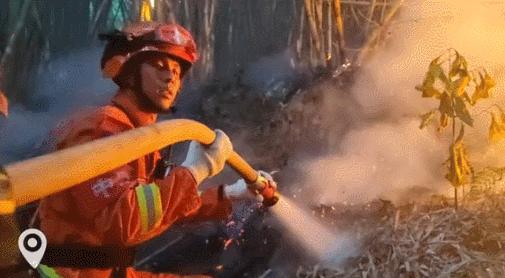 璧山動(dòng)態(tài)，引領(lǐng)未來(lái)的高科技產(chǎn)品體驗(yàn)之旅