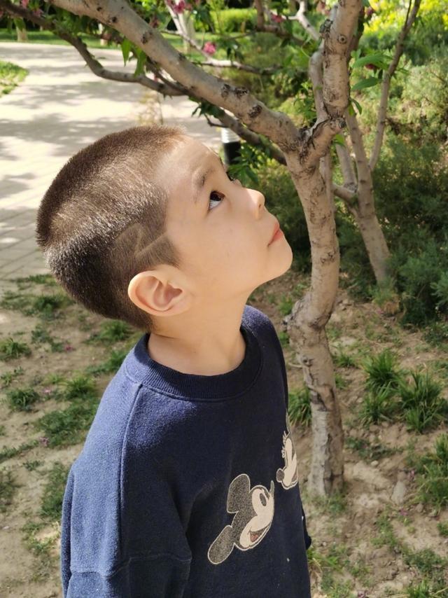 最新兒童發(fā)型推薦,小巷深處的時(shí)尚探索