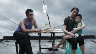 獅子座符號電影,光影展現(xiàn)王者風(fēng)采