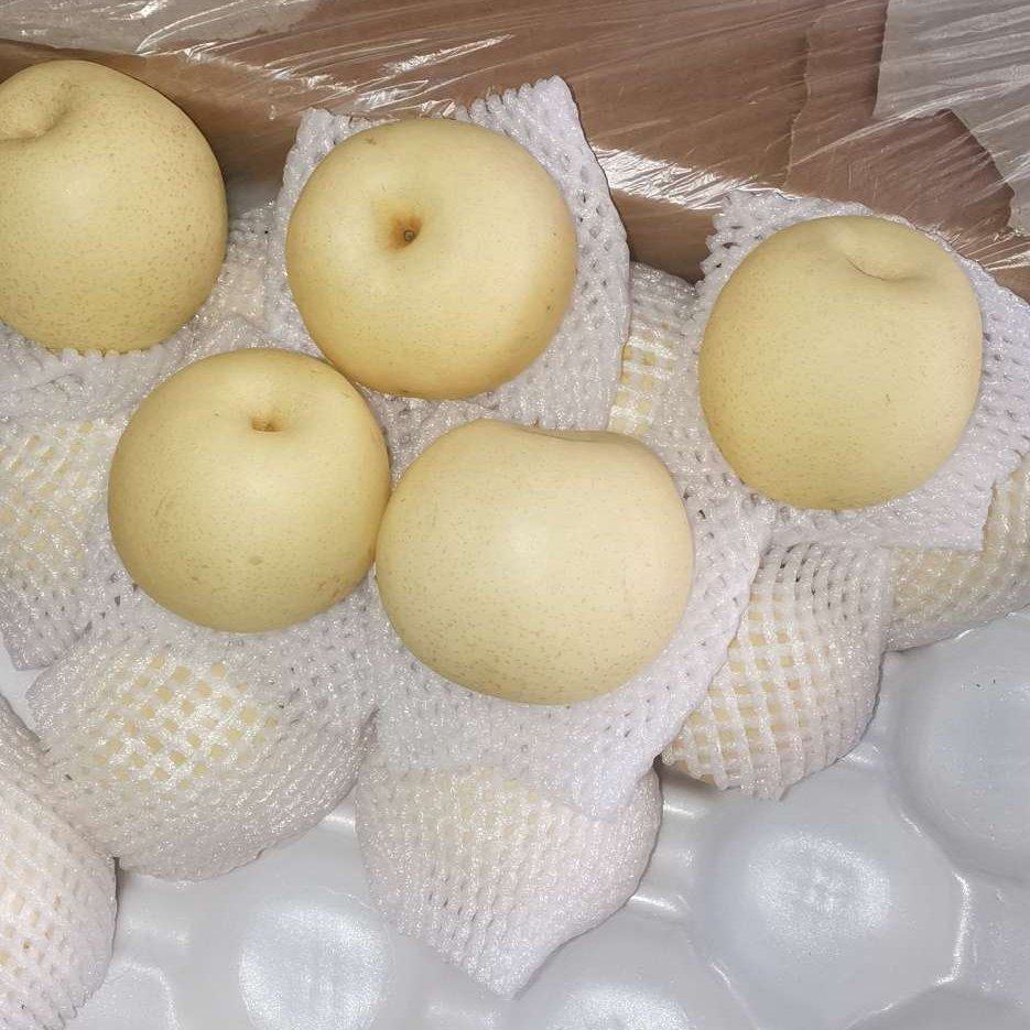 河北皇冠梨最新報價及品質(zhì)佳果價格走勢分析