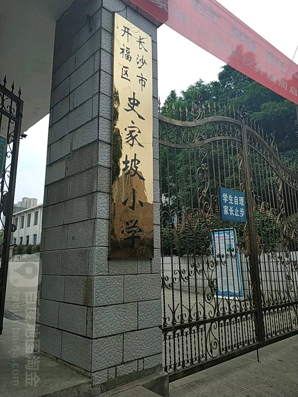 史家坡小學(xué)最新資訊,友情與陪伴的溫馨日常