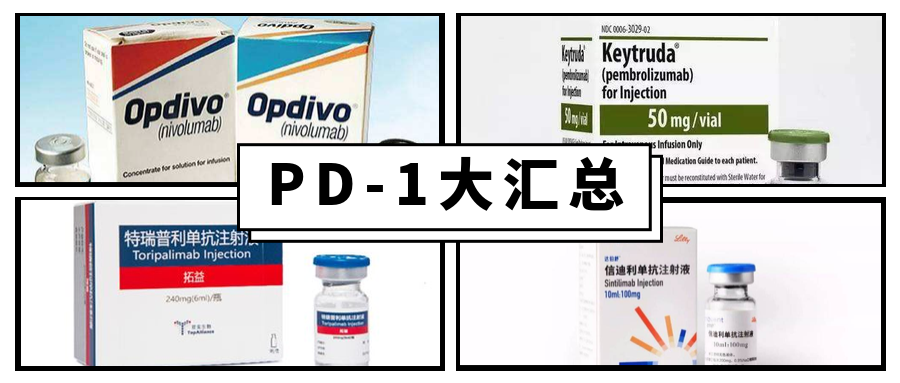 拓益最新價(jià)格及市場動(dòng)態(tài)深度解析