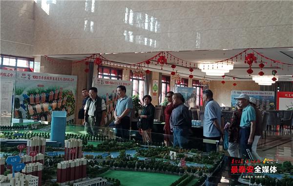 泰安記者村最新動態(tài)更新