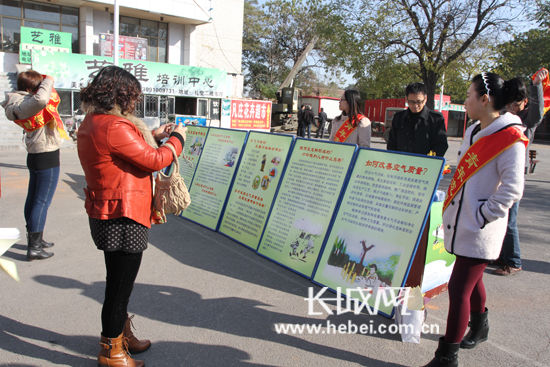 晉州中茂最新動態(tài)及步驟指南