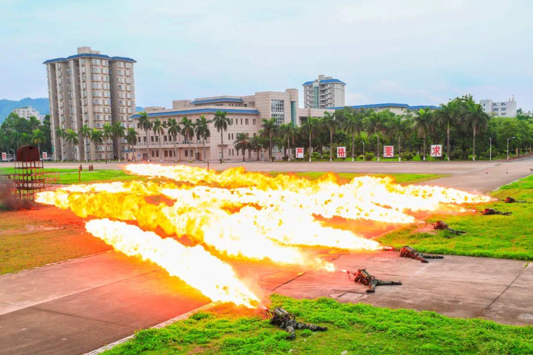武警警官學(xué)院最新動態(tài)與小巷深處的特色小店探秘揭秘