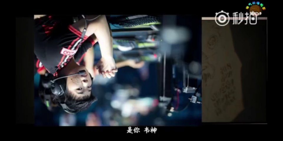 多維度視角下的洋爽最新動態(tài)解讀