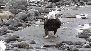 美國(guó)最新動(dòng)態(tài)概覽