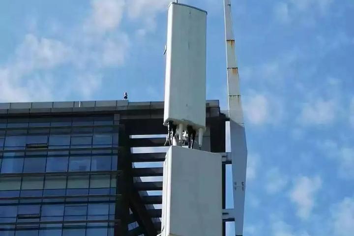 臺(tái)州市最新人事任免,臺(tái)州市最新人事任免動(dòng)態(tài)解析