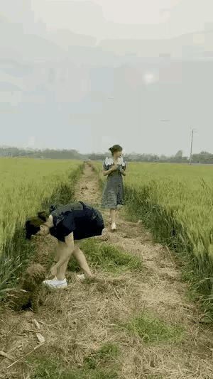 小巷神秘小店最新搞笑對(duì)話集錦