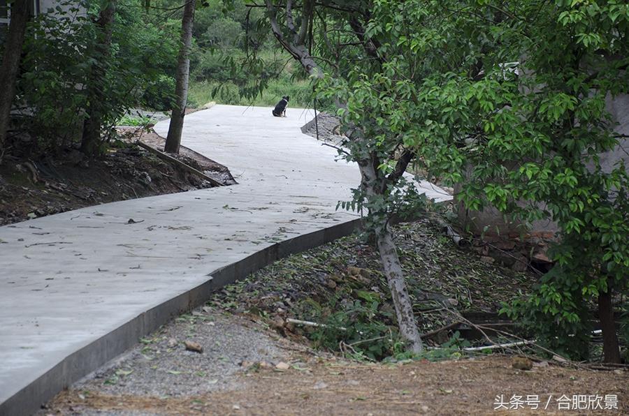 廬江柯坦鎮(zhèn)最新發(fā)展規(guī)劃概覽