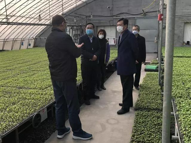 辛集房產(chǎn)信息網(wǎng)最新動(dòng)態(tài)及資訊更新????