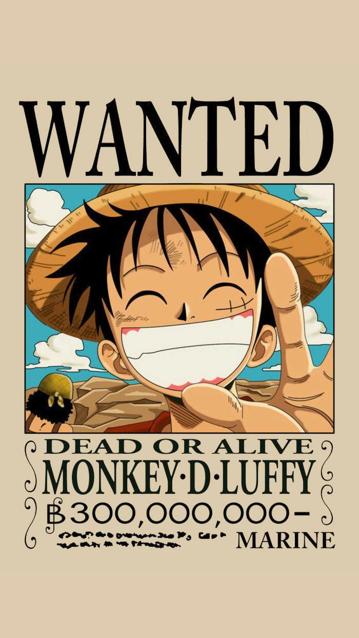 海賊王最新懸賞令圖片解析與觀點(diǎn)闡述