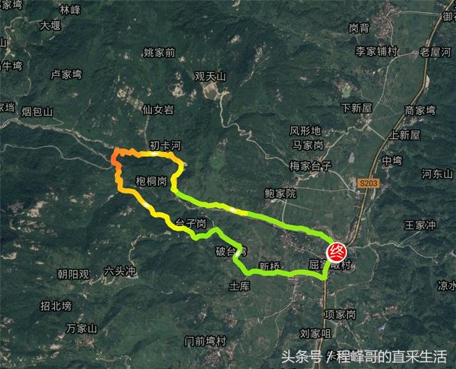 揭秘新榮村到羅田最新車次信息??