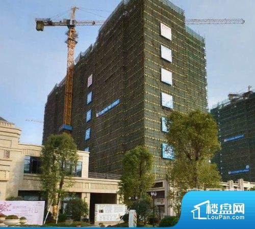 羅村依云華府最新房?jī)r(jià),夢(mèng)想家園的奮斗與成長(zhǎng)之旅