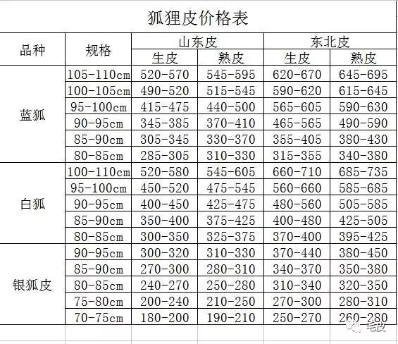 尚村狐貍皮格行情及情緣揭秘