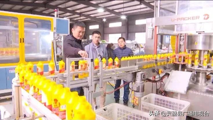 靈璧最新疫情實時更新報告