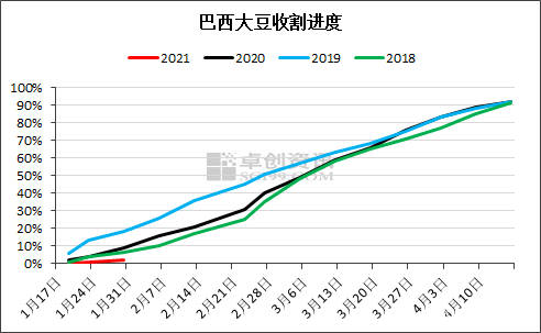 巴西最新數(shù)據(jù)揭示背后的溫馨日常故事