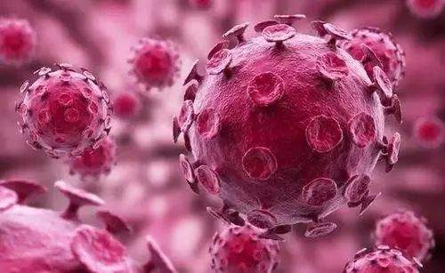 最新案例病毒深度解析與應(yīng)對(duì)策略