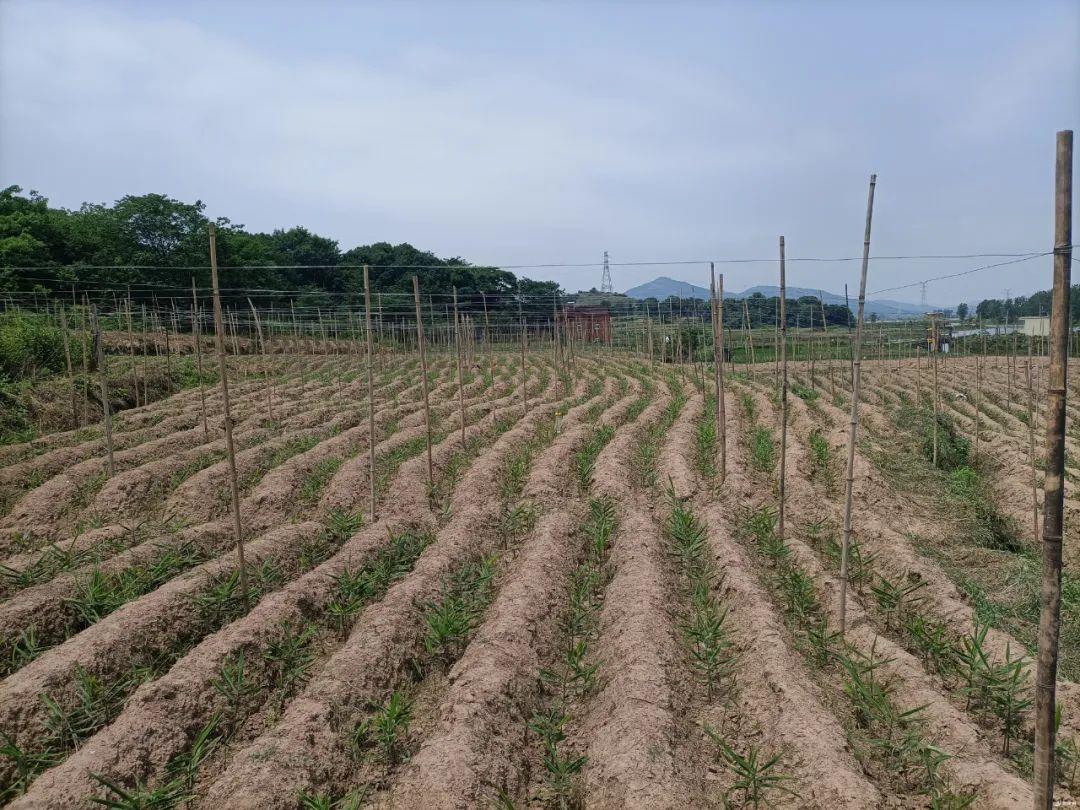 方晟最新學(xué)習(xí)指南，掌握新技能或任務(wù)的詳細(xì)步驟攻略