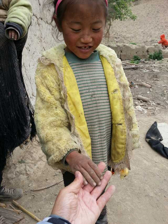 貧困兒童現(xiàn)狀背景與時代地位深度解析