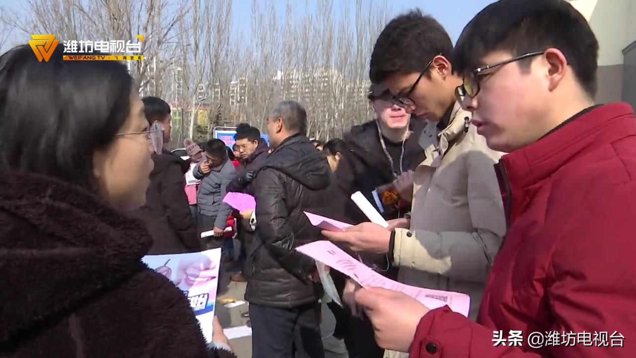 濰坊最新招聘信息概覽與觀點論述