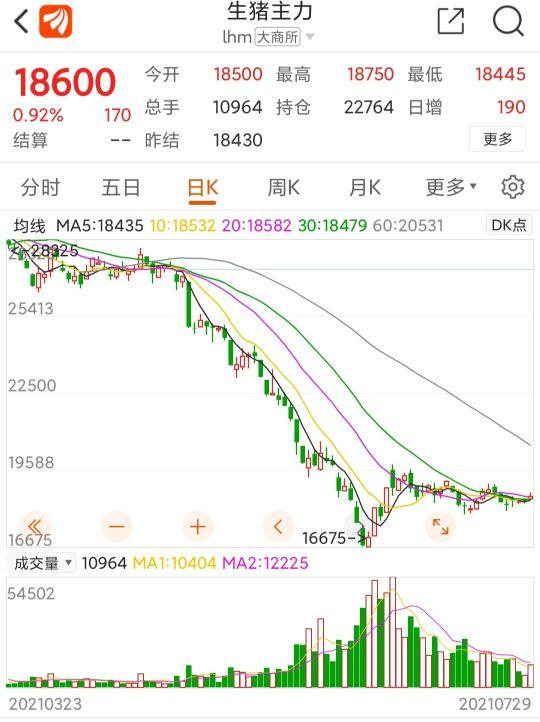 最新豬價格表詳解，查詢步驟指南與解讀（初學(xué)者進(jìn)階用戶必備）