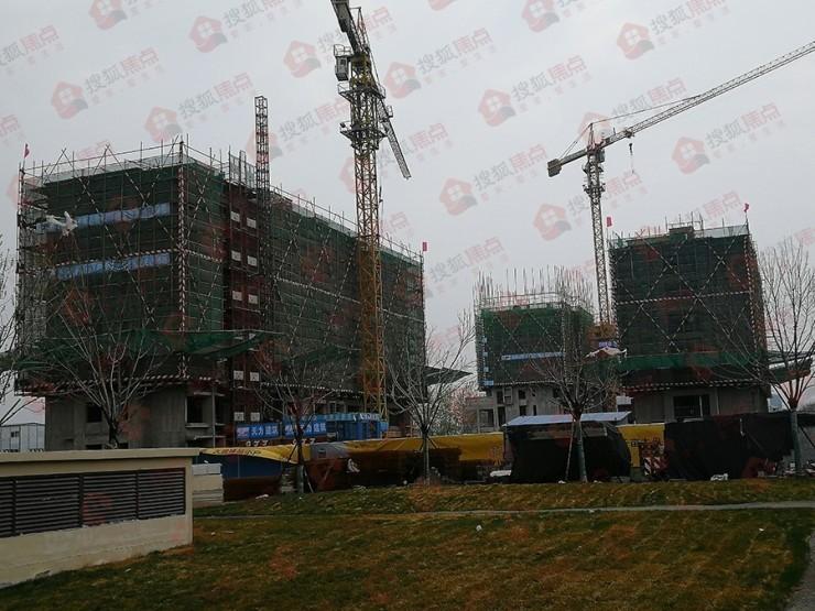 藁城樓盤(pán)最新信息與市場(chǎng)現(xiàn)狀展望