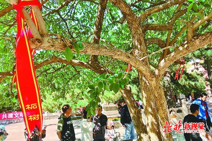 門頭溝潭柘寺最新動(dòng)態(tài)報(bào)道