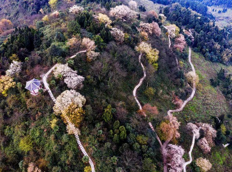 長壽區(qū)大洪湖最新動(dòng)態(tài)及步驟指南