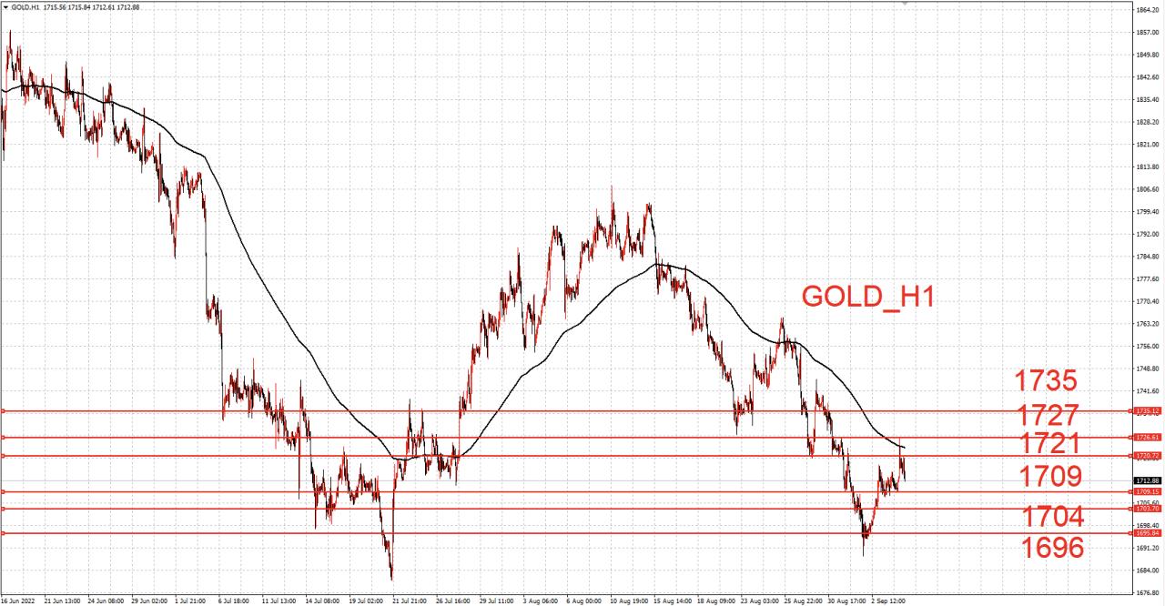 國際黃金基金持倉比例最新動(dòng)態(tài)與市場洞察分析