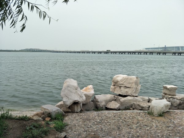 金海湖新區(qū)最新項(xiàng)目啟航，學(xué)習(xí)成就夢想，共創(chuàng)未來征程