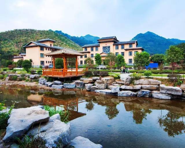 廣西蒙山高速最新動(dòng)態(tài)，駛向自然美景，探尋內(nèi)心平靜的旅程