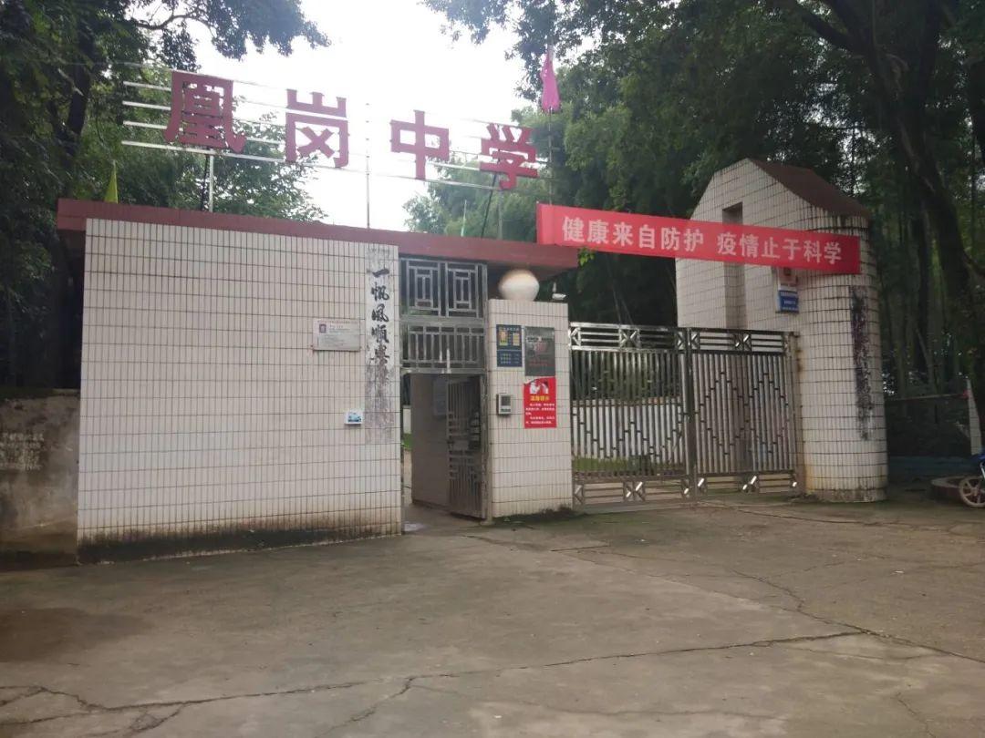 鄱陽(yáng)凰崗自然美景探索之旅，追尋內(nèi)心平和的旅程最新消息