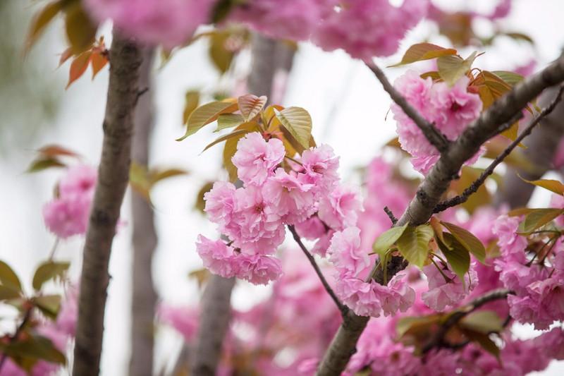 鹽城大洋灣最新動(dòng)態(tài)與相關(guān)論述概述