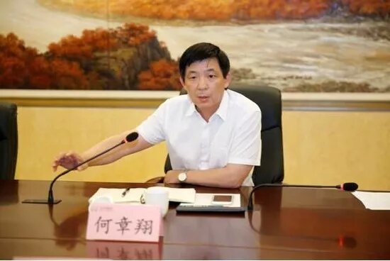 鎮(zhèn)江雷志強(qiáng)的最新任職，多維度視角下的深入探討