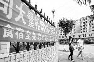 河源東源仙塘最新招聘，時代背景下的新機遇啟航