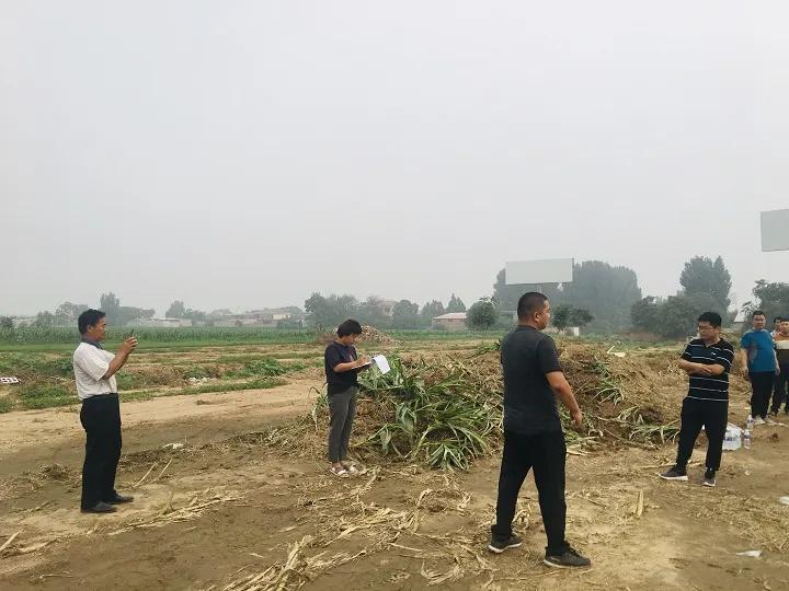 永年區(qū)最新工程項目，時代印記與未來展望之路